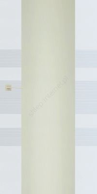 Drzwi wewnętrzne POL SKONE ASTRO / ASTRO Lux model W3A