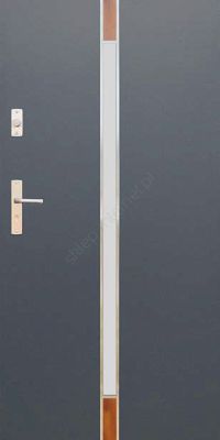Drzwi Wikęd Future Inox - modele: FI06A | FI06B | FI06C