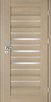 Drzwi wewnętrzne INTENSO LION STEEL W-2