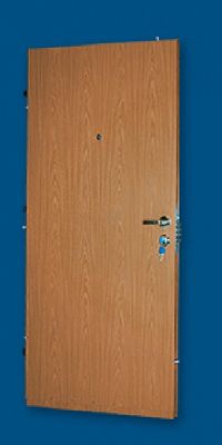 Drzwi Antywłamaniowe WITEX WSL-2000B Basic (1 zamek) z montażem dla klienta indywidualnego