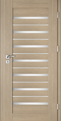 Drzwi wewnętrzne INTENSO LION STEEL W-5