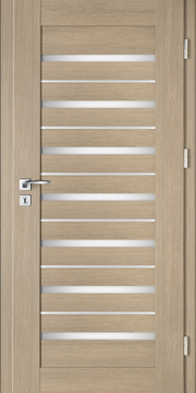 Drzwi wewnętrzne INTENSO LION STEEL W-5