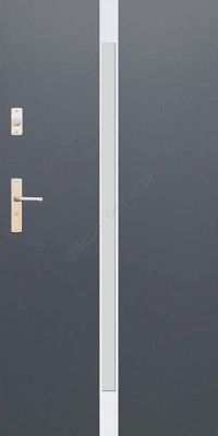 Drzwi Wikęd Future Inox - modele: FI05A I  | FI04B | FI04C