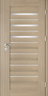Drzwi wewnętrzne INTENSO LION STEEL W-4